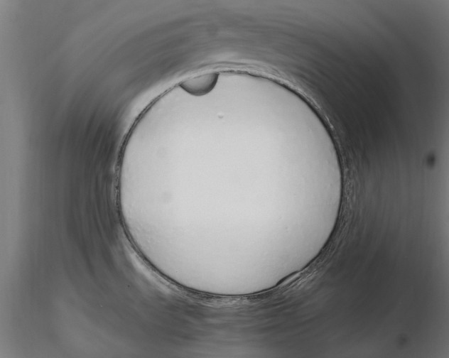 X0000115501535200912041027