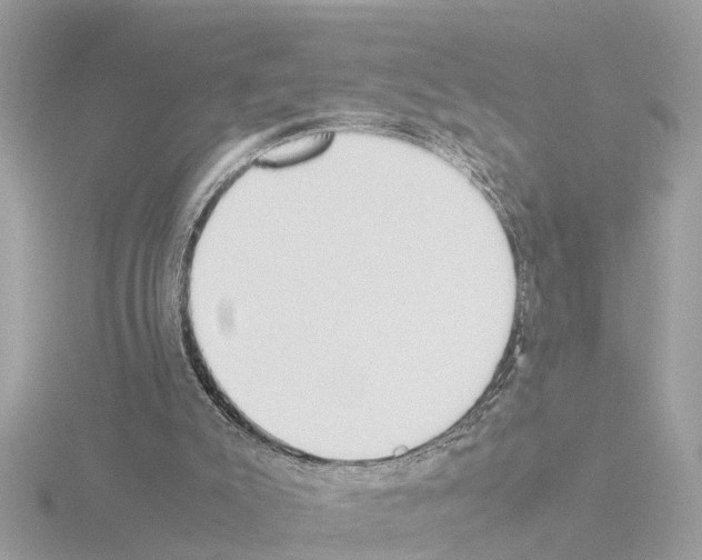 X0000115500007200912181434
