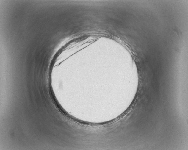 X0000115500008200912181434