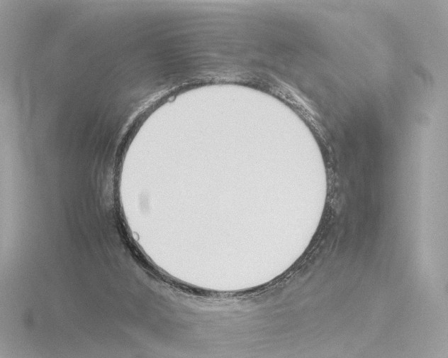 X0000115500012200912181434