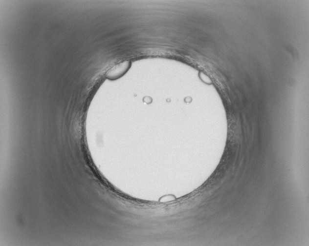 X0000115500015200912181434