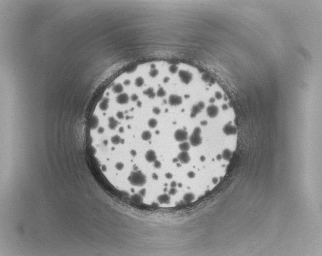 X0000115500016200912181433