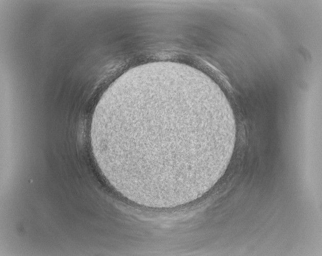 X0000115500018200912181433
