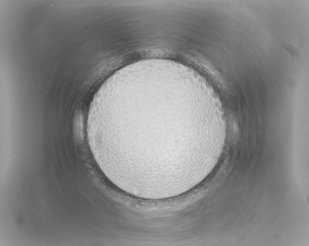 X0000115500022200912181433