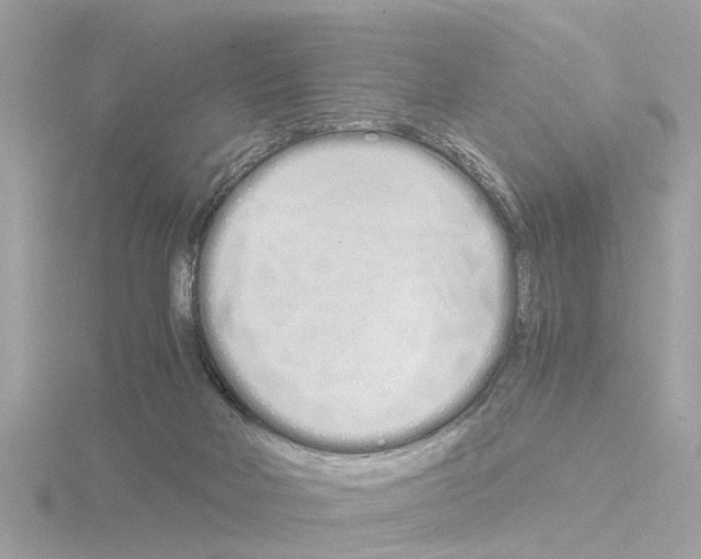 X0000115500026200912181433