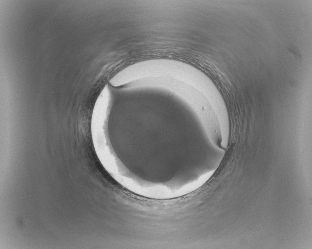 X0000115500035200912181433