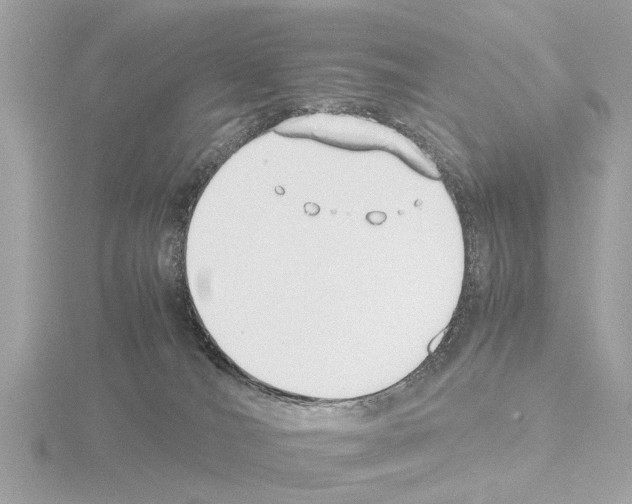 X0000115500036200912181433