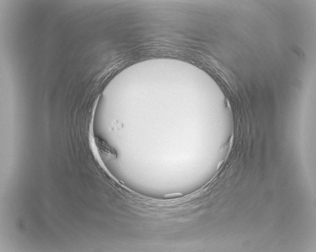 X0000115500043200912181433