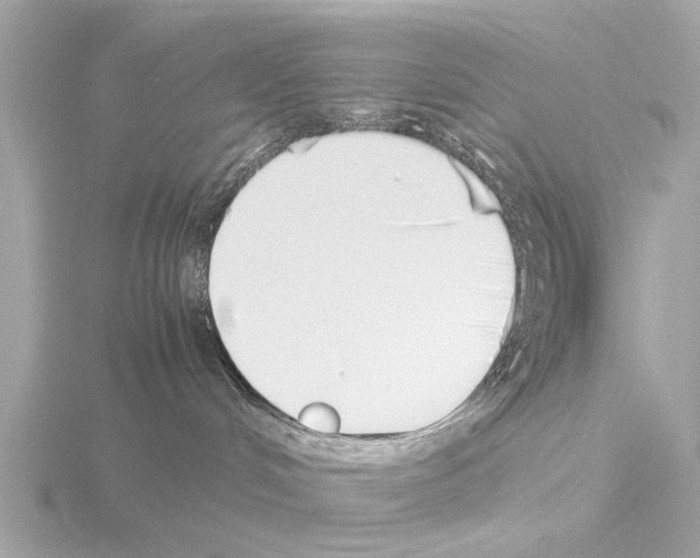 X0000115500048200912181433