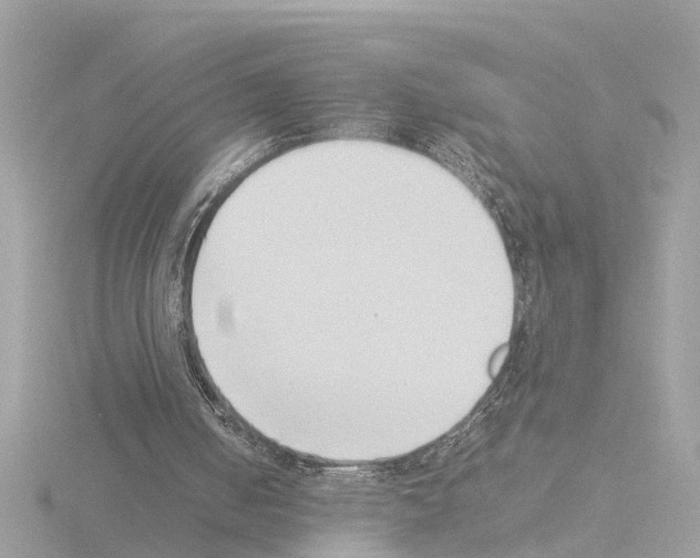 X0000115500050200912181432