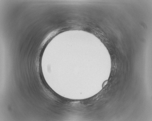 X0000115500054200912181432