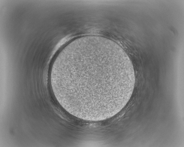 X0000115500056200912181432