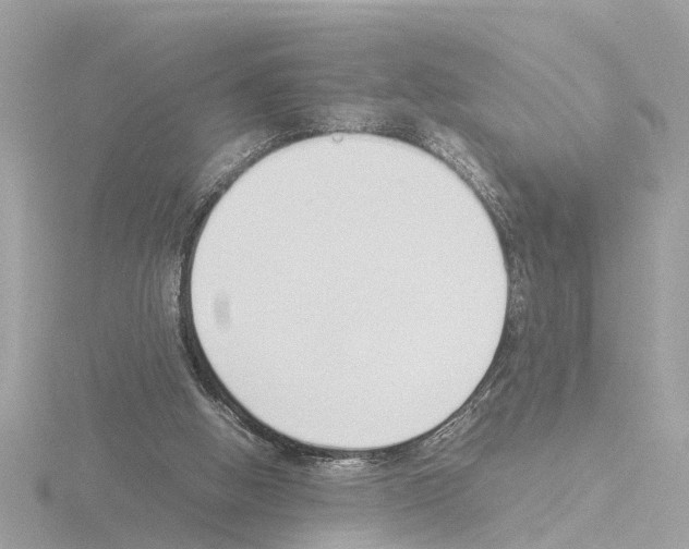 X0000115500058200912181432