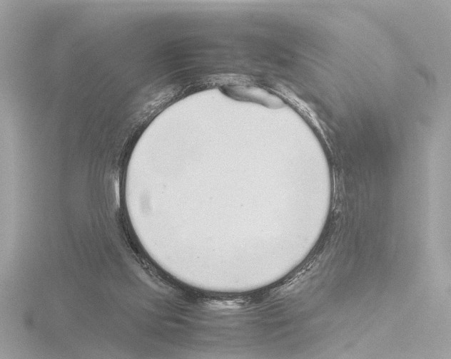 X0000115500061200912181432