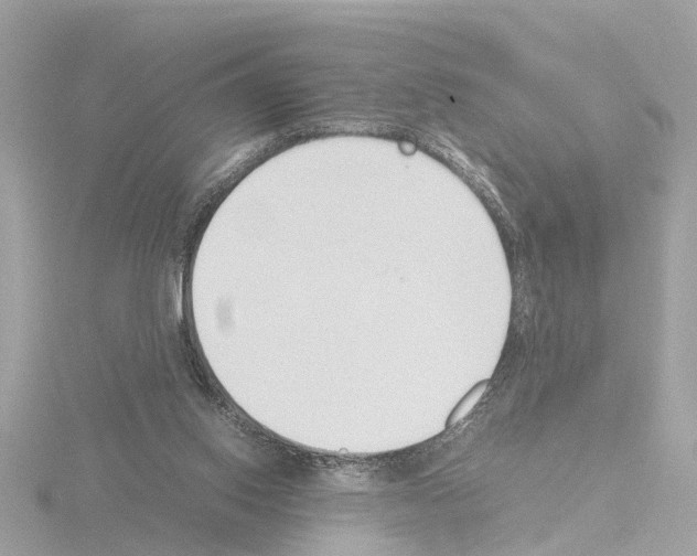 X0000115500062200912181432