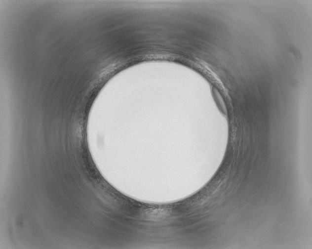 X0000115500063200912181432