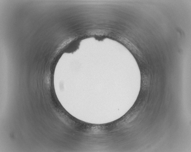 X0000115500064200912181432