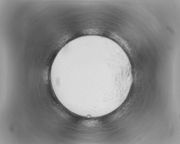 X0000115500065200912181433