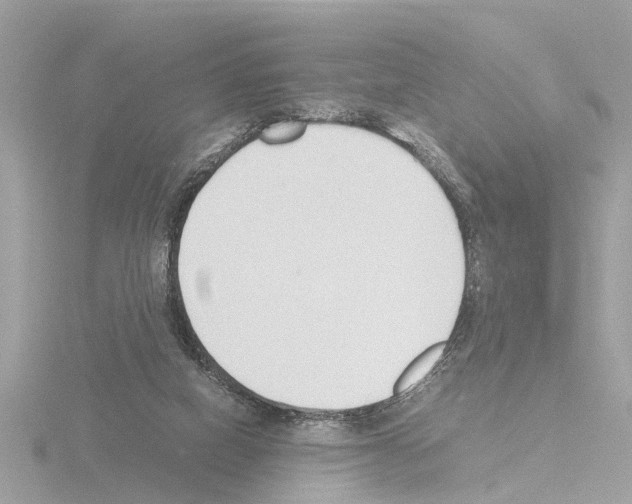 X0000115500066200912181433
