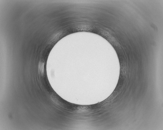 X0000115500070200912181433