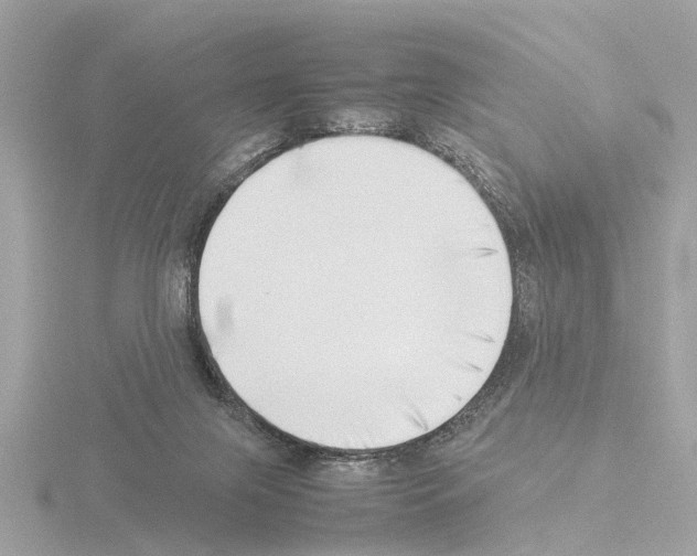 X0000115500071200912181433