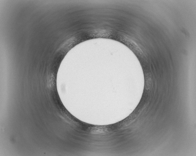 X0000115500077200912181433