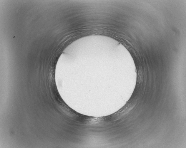 X0000115500092200912181433