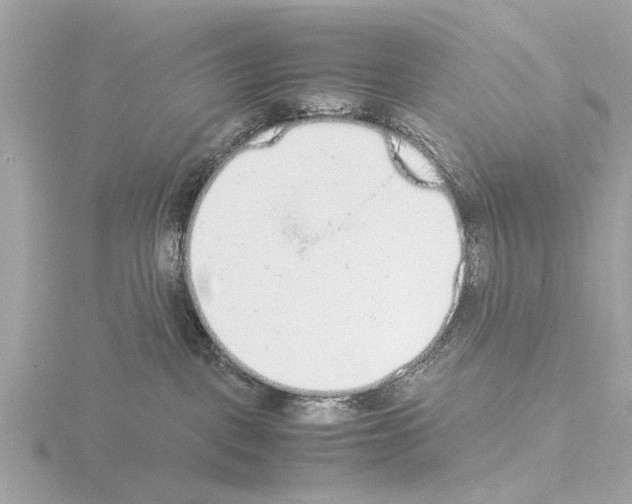 X0000115500093200912181433