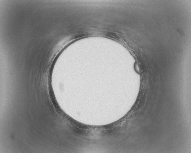 X0000115500103200912181432