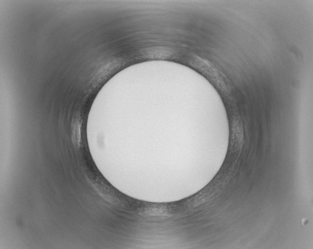 X0000115500110200912181432