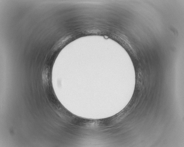 X0000115500116200912181432