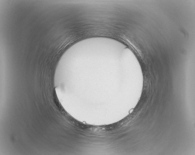 X0000115500117200912181432