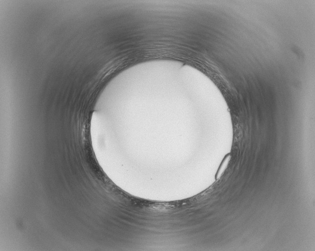 X0000115500124200912181432