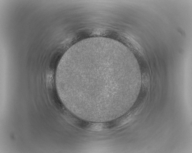 X0000115500127200912181432