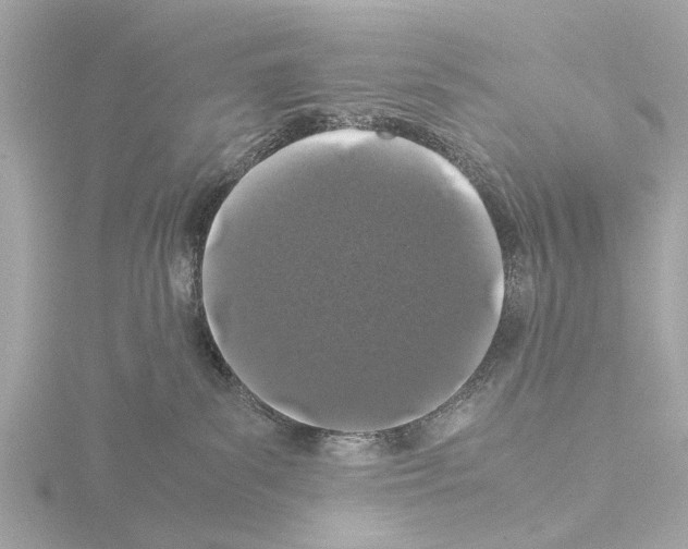 X0000115500139200912181432
