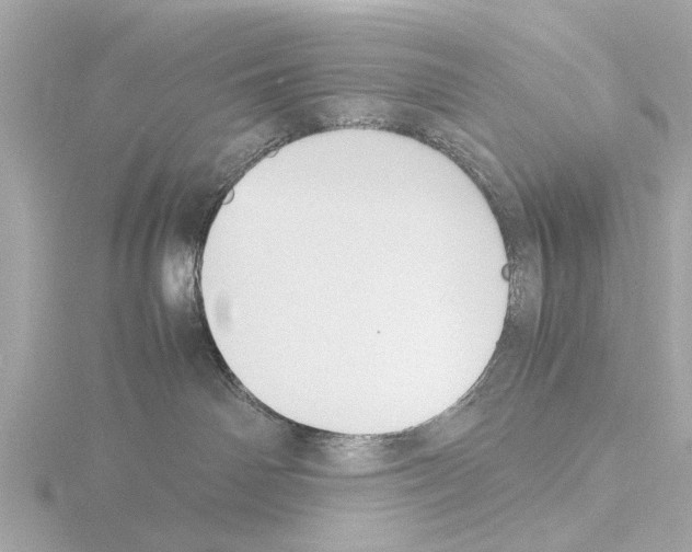 X0000115500142200912181432