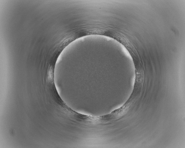 X0000115500143200912181432