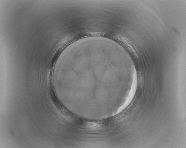 X0000115500167200912181431