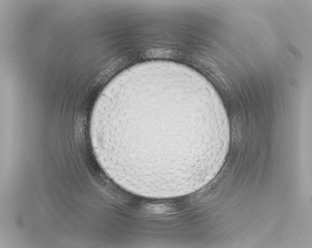 X0000115500171200912181431
