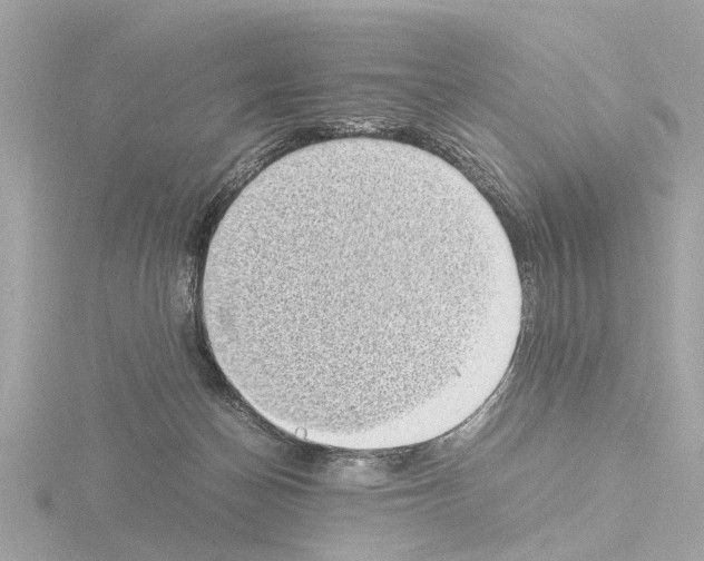 X0000115500174200912181431