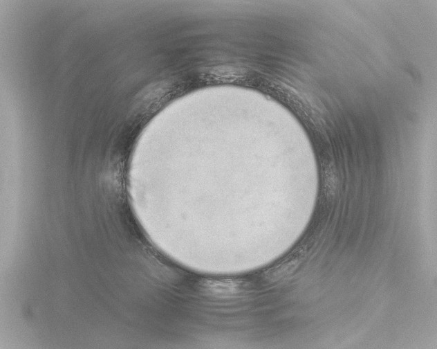 X0000115500181200912181431