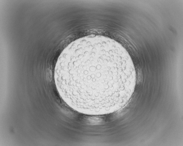 X0000115500183200912181431