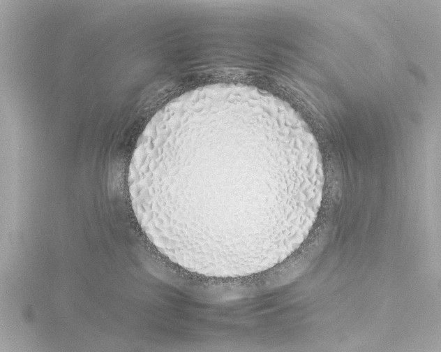 X0000115500185200912181431