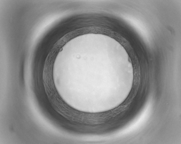 X0000115500191200912181431