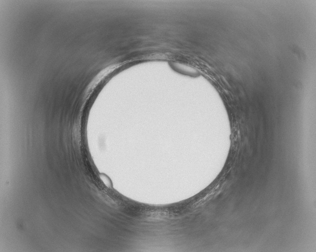 X0000115500200200912181431