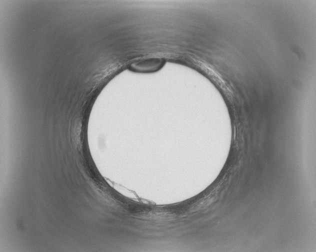 X0000115500201200912181431