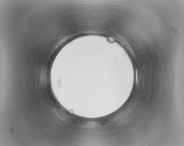 X0000115500204200912181431