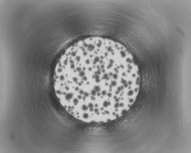 X0000115500208200912181431
