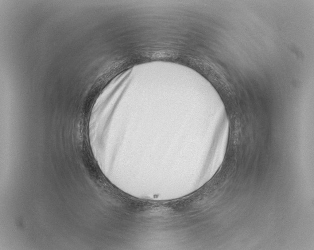 X0000115500210200912181431