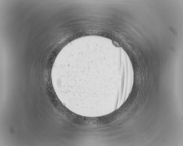 X0000115500211200912181431